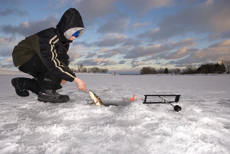 A look at ice fishing live casino